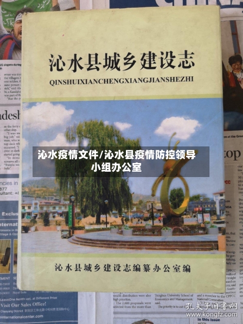 沁水疫情文件/沁水县疫情防控领导小组办公室-第2张图片