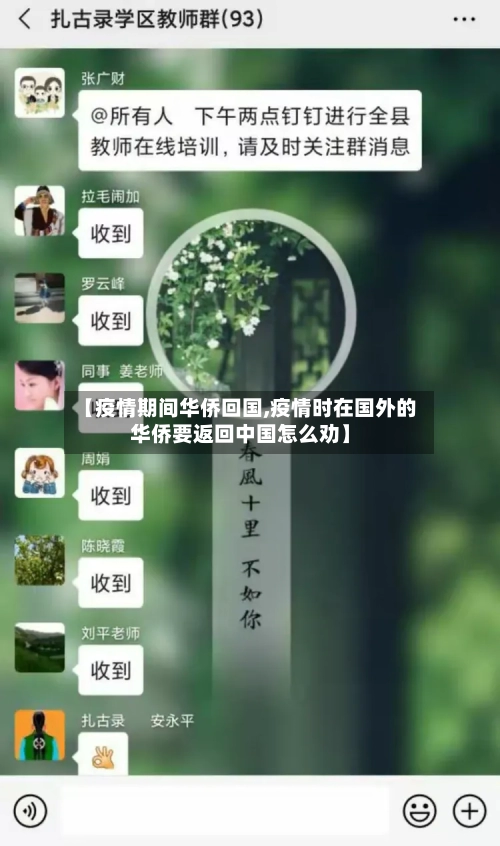 【疫情期间华侨回国,疫情时在国外的华侨要返回中国怎么劝】-第2张图片