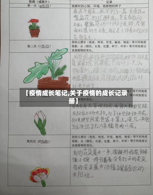 【疫情成长笔记,关于疫情的成长记录册】-第2张图片